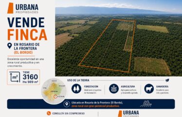 VENDO FINCA EN ROSARIO DE LA FRONTERA